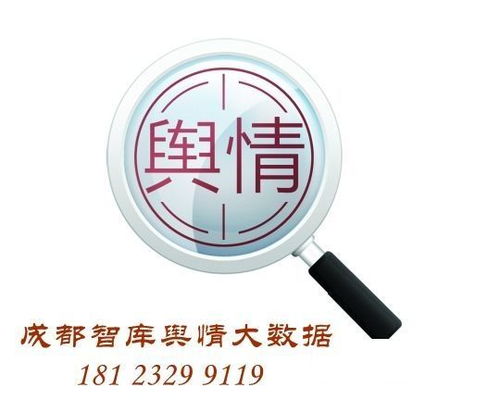 成都網(wǎng)絡(luò)輿情綜合服務(wù)與互聯(lián)網(wǎng)數(shù)據(jù)服務(wù)的融合創(chuàng)新之路